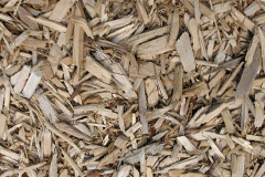 biomass boilers Cauldmill